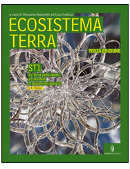 ECOSISTEMA TERRA