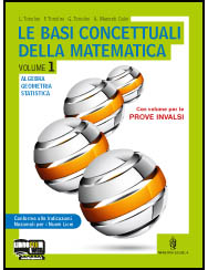 LE BASI CONCETTUALI DELLA MATEMATICA