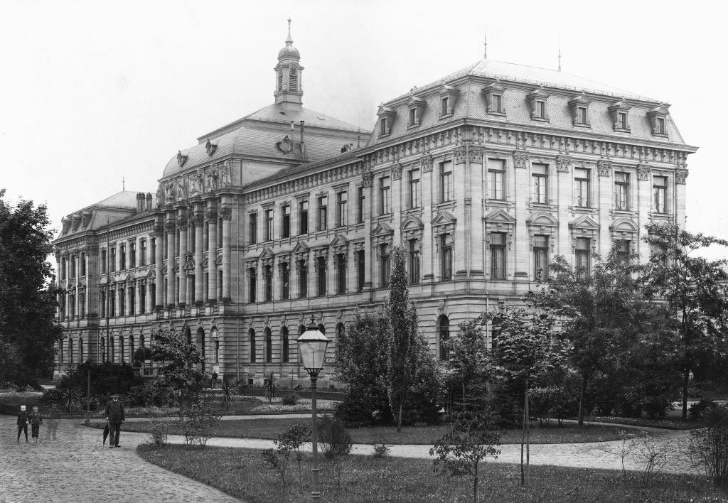 Università Friedrich Alexander