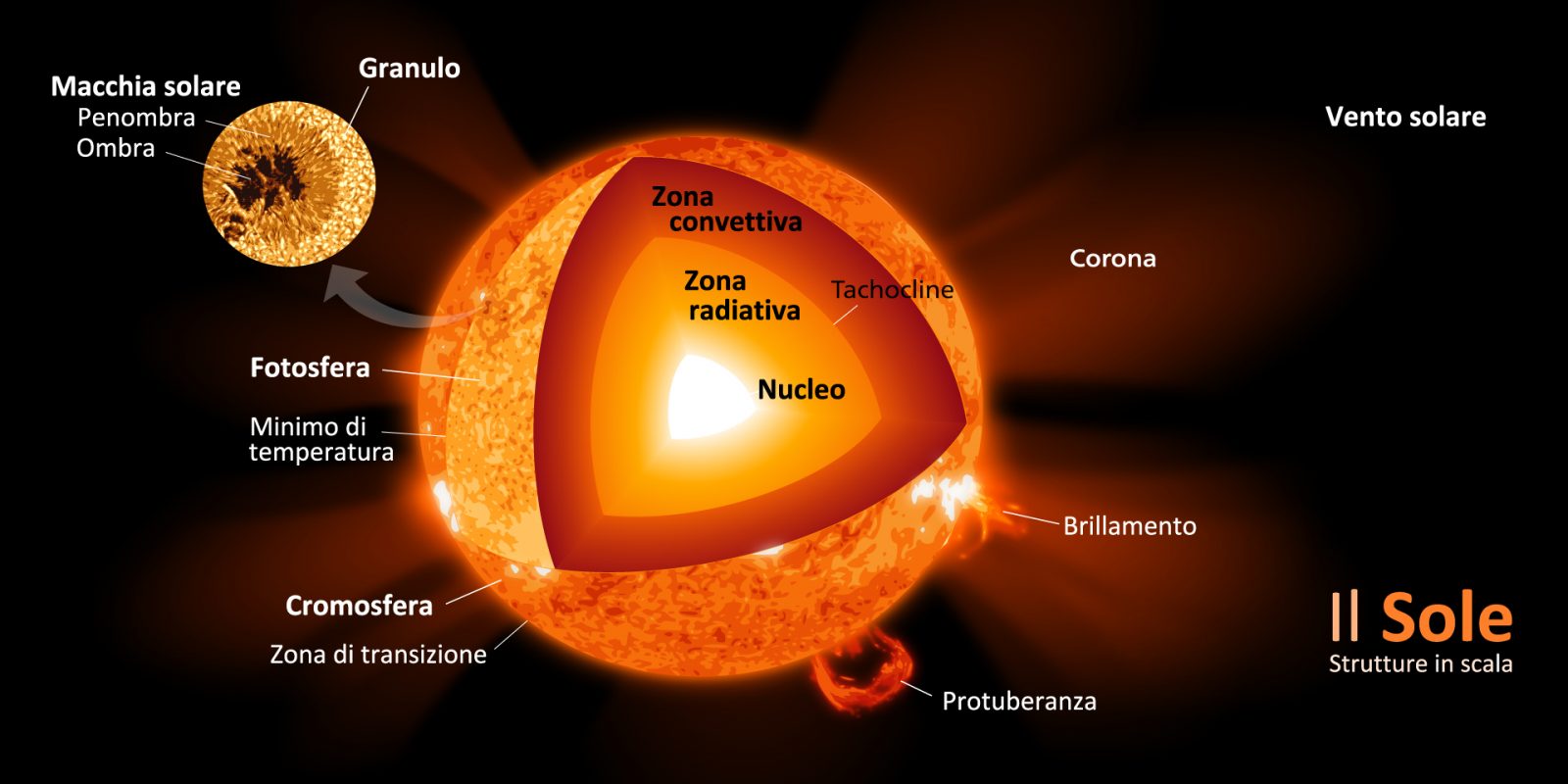 La struttura interna del Sole