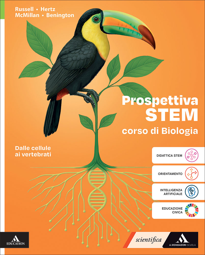 Prospettiva STEM
